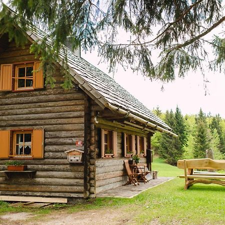 Wood House Irena-Pocitniska Hisa Villa Bohinj ภายนอก รูปภาพ