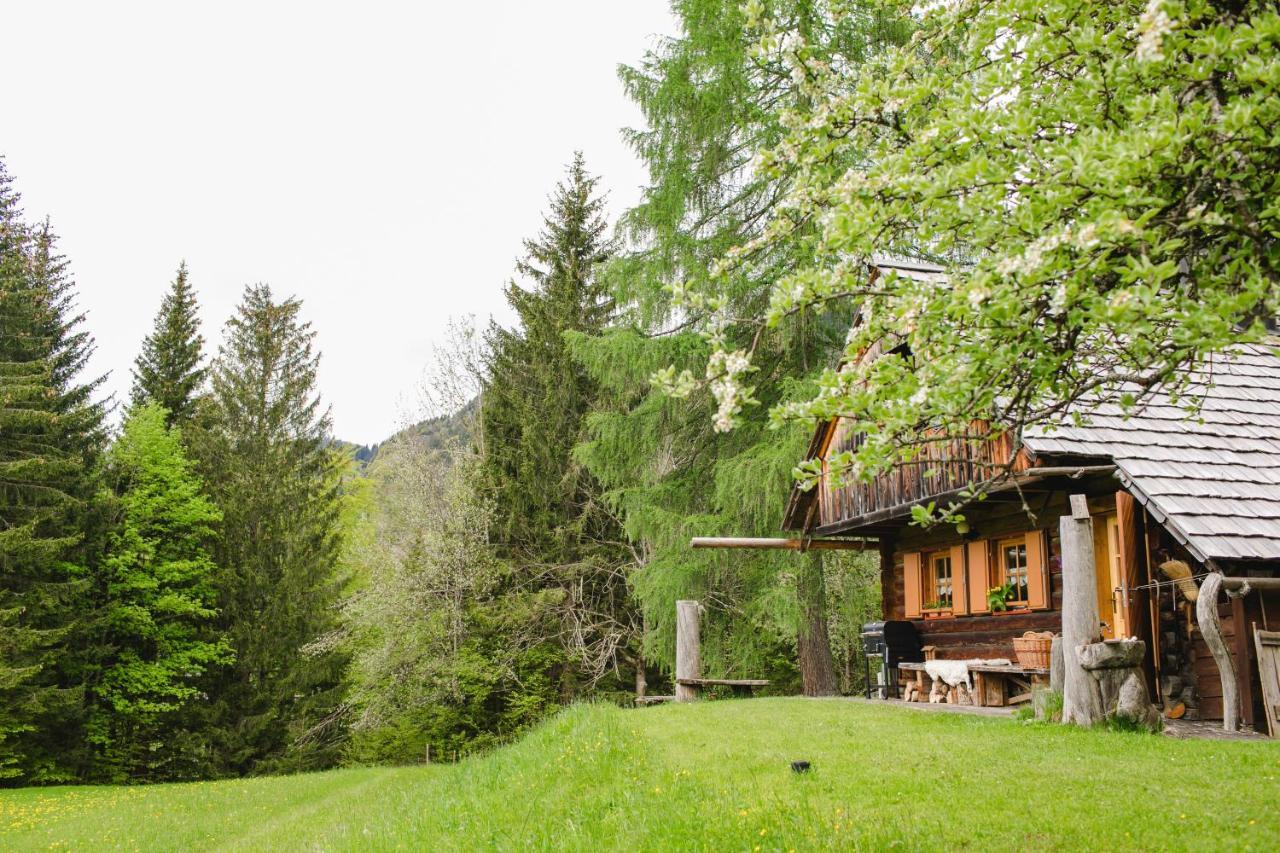 Wood House Irena-Pocitniska Hisa Villa Bohinj ภายนอก รูปภาพ